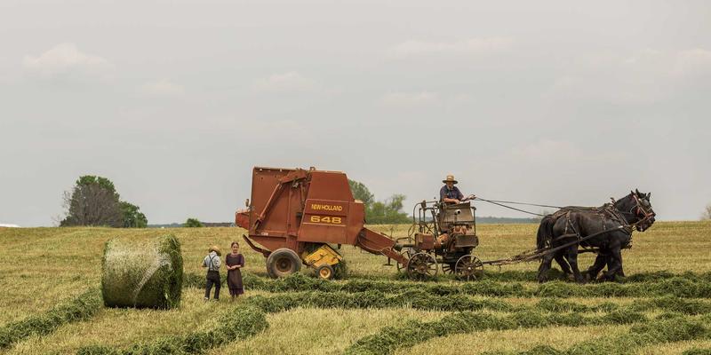 从古代税收豁免到现代科研扶持：维齐尔比政策对生物科技初创企业营养补充品研发的启示