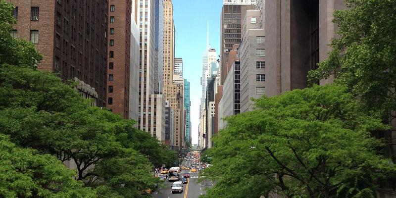 从奥斯曼维齐尔分工看现代保健品科研：军事与财政的治理智慧如何启迪生物科技管理