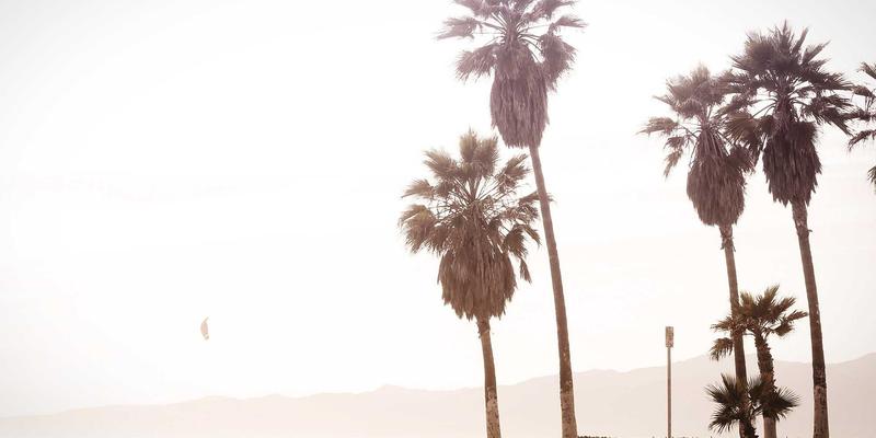 从维齐尔比到现代保健品：古代药材贡赋体系中的健康供应链智慧