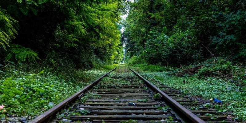 从许蕾姆苏丹的宫廷智慧看现代健康：权力联盟中的营养补充与健康解决方案