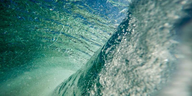 基于维齐尔比层级结构的健康管理平台：如何实现营养补充与健康产品的精准用户分层服务