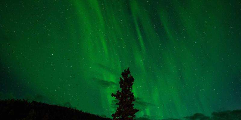 维齐尔比43：生物科技赋能营养补充的科研突破与未来展望