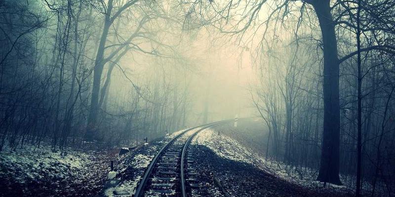 维齐尔比50：科学健康解决方案如何重塑现代健康产品理念