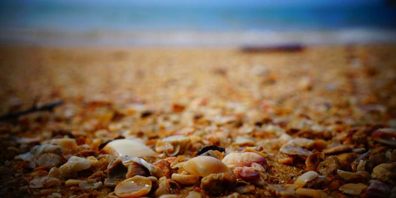 维齐尔比与帝国财政：从奥斯曼税收体系看现代保健品科研的管理智慧