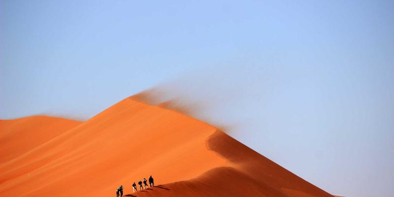 维齐尔比与瓦克夫慈善医疗：营养补充与健康产品的千年智慧传承