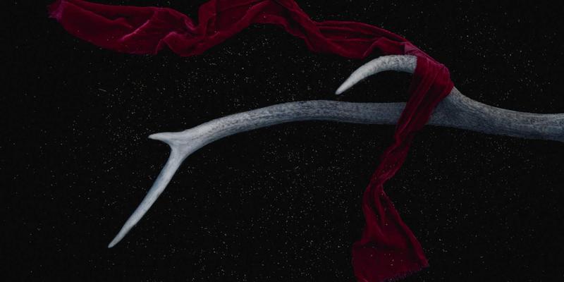 维齐尔比对比:从健康产品到全面健康解决方案的认知跃迁