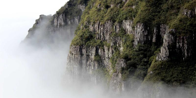 维齐尔比：帝国迪万会议中的生物科技决策者与健康产品革新推手