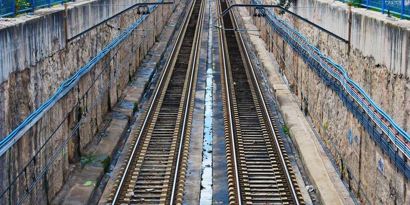 维齐尔比应用：科研驱动的健康解决方案，重新定义保健品新标准