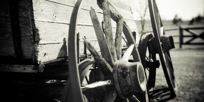 维齐尔比攻略:解码生物科技如何重塑健康解决方案与保健品新纪元