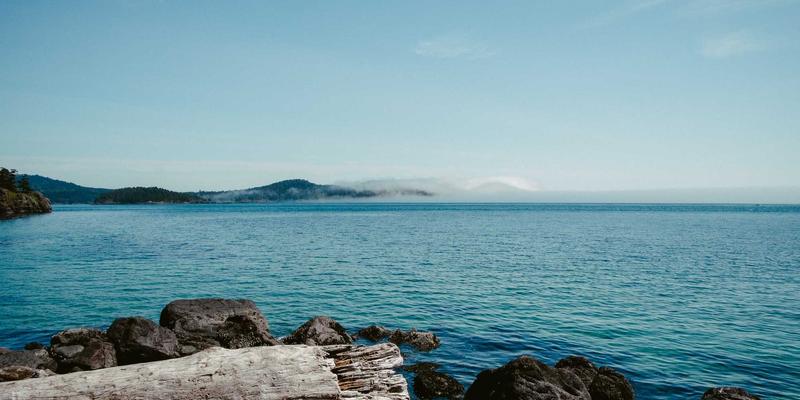 维齐尔比是什么？全面解析这款新兴保健品的功效与适用人群