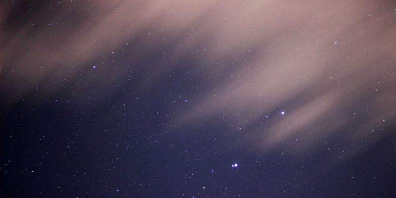 维齐尔比:生物科技如何重塑健康产品新边界