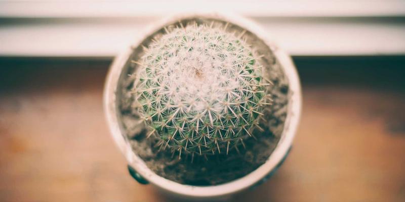 维齐尔比的智慧：从奥斯曼宫廷财政看现代健康产品研发预算的优化分配